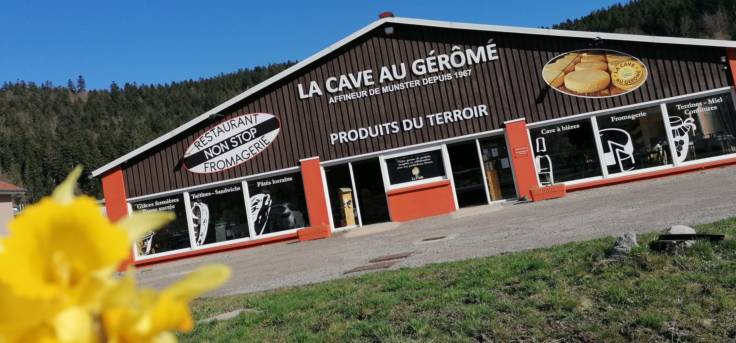 Cave au géromé Tholy Vosges